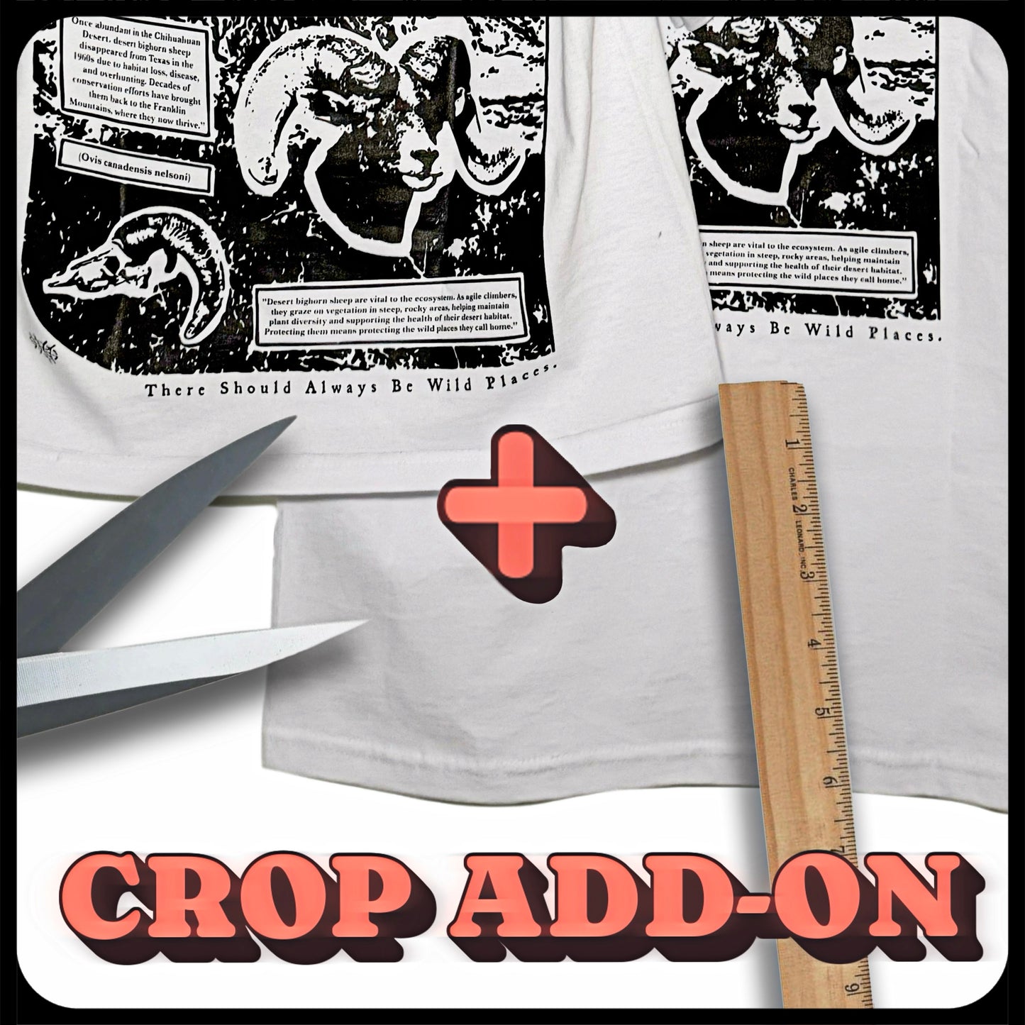 Crop My Shirt
